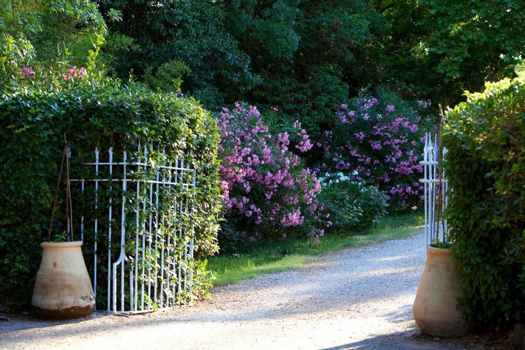 Château de Saint Martin Taradeau Eksteriør billede